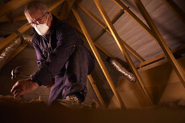 Best Eco-Friendly Insulation in Kenhorst, PA